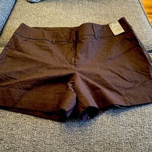 New York & Company Shorts